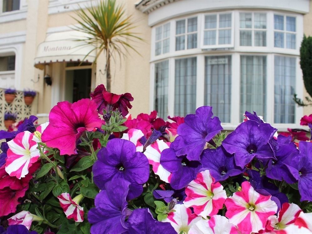 The Montana Torquay Exterior foto